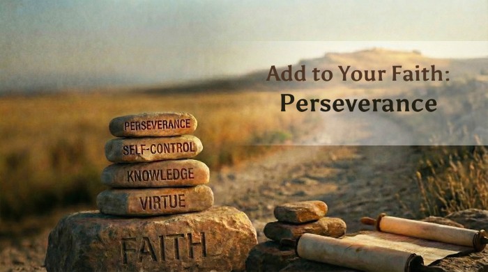Add to Your Faith: Perseverance