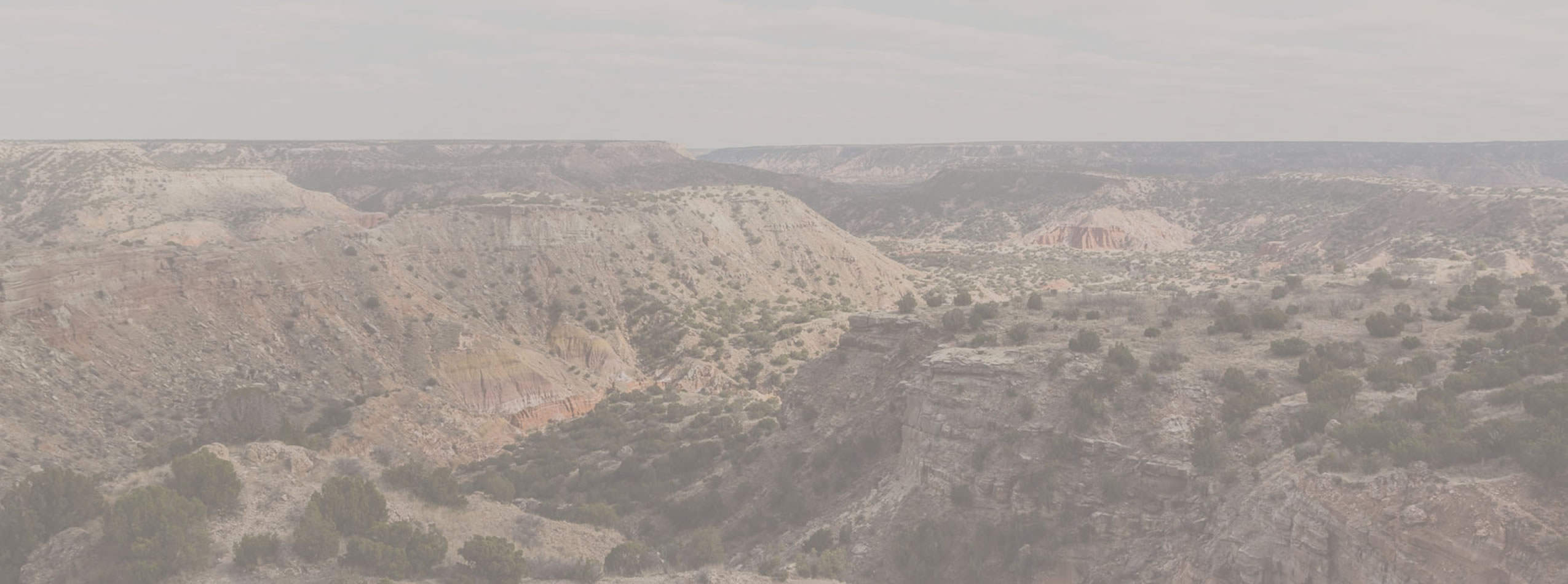 New Testament Christianity Background